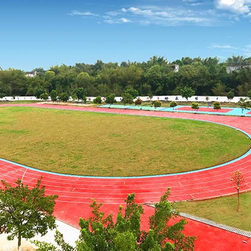 全塑型自结纹跑道