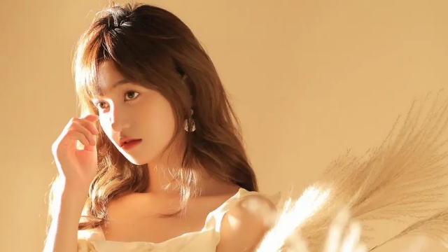 天博体育官方平台入口有名的健身房器材