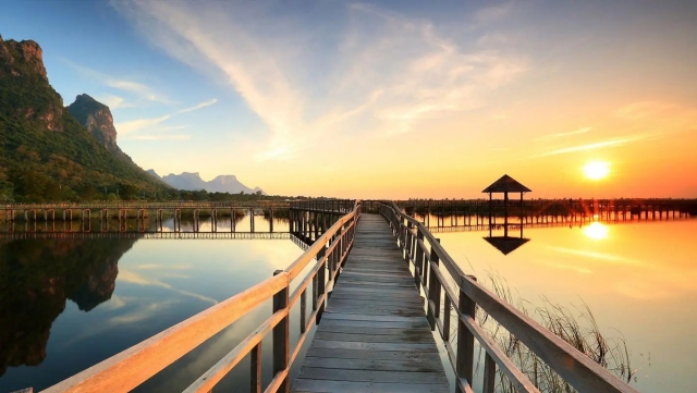 天博体育官方平台入口乒乓球台上的风景